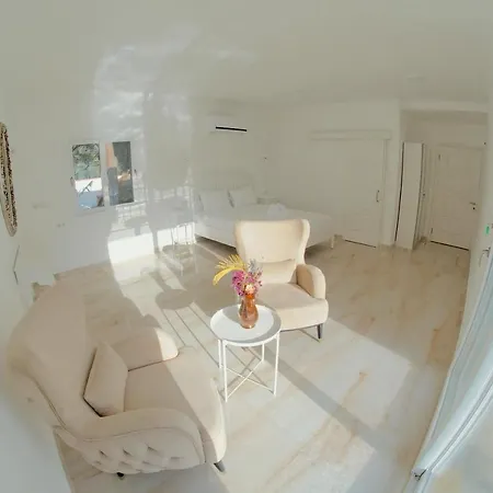 Alashato 阿拉恰特